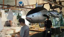 Des vendeurs de poisson au marché Tsukiji.