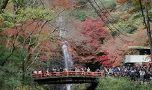 Cascade du parc de Minoh.