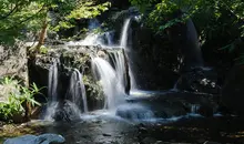 Cascades du jardin Shirotori