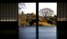 View on the vegetation of Kairaku-en