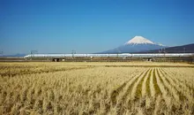 Admirez le Mont Fuji depuis le Shinkansen