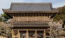 La grande porte du Kômyô-ji à Kamakura au moment des cerisiers en fleur