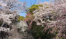 Marches du parc Nishi koen, près du sanctuaire Terumo jinja, à Fukuoka