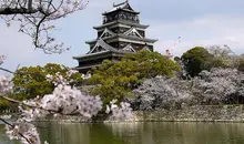 Parc du château d'Hiroshima : endroit idéal pour le hanami entre amis