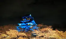 Admirez les "yozakura", cerisiers nocturnes, au parc du château d'Osaka