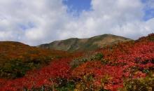 Les flancs rouges du Mont Kurikoma en automne