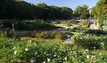 El jardín de rosas del parque Utsubo en Osaka.