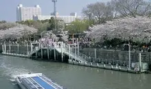 Les "bus sur l'eau" permettent de visiter Osaka depuis la rivière