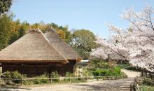 Musée ferme japonaise ryokuchi koen