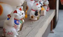maneki neko