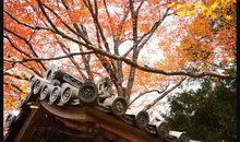 Le temple Jingo-ji à Takao