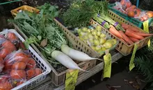 marché japon