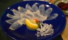 Sashimi fugu