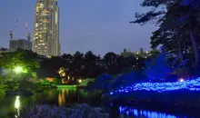 Tanabata en el jardín Shukkei-en de Hiroshima.