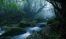 Yakushima