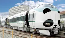 Le train aux couleurs d'un panda, dans la préfecture de Wakayama, au Japon