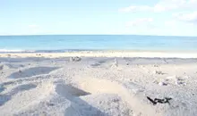 Plage de sable blanc