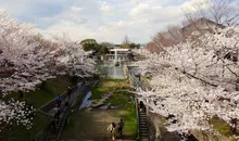 Les bords du canal Biwako-sosui à Keage