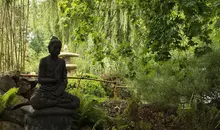 Statue de Bouddha