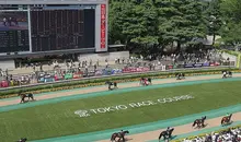 paddock-hippodrome-fuchu