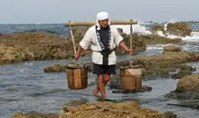 Un saunier en plein travail