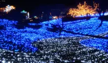 Parterre de lumières près du lac Sagami