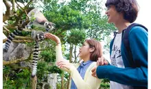 Izu shaboten zoo