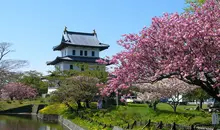 Le chateau de Matsumae