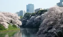 Les douves du palais impérial de Tokyo