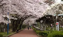 Tsutsujigaoka Park