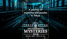 Tokyo Metro Game- The Underground Mysteries