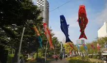 Tokyo Midtown Koinobori