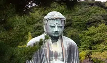 Le grand Bouddha de Kamakura dans un écrin de verdure