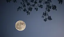 O-Tsukimi, la fête de la lune au Japon