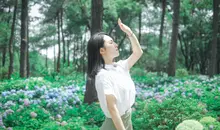Shinrin-Yoku