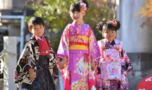 Japan Visitor - 75320181.jpg