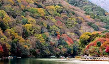 Japan Visitor - arashiyama-sagano-1.jpg