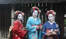 Japan Visitor - geisha20191.jpg