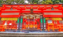Japan Visitor - hayatama-taisha-2017-1.jpg