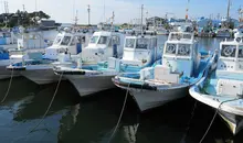 Japan Visitor - himakajima-6.jpg