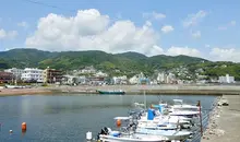 Japan Visitor - itocity1.jpg