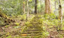 Japan Visitor - jakkoin-temple-1.jpg