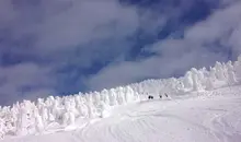 Japan Visitor - japanski20195.jpg