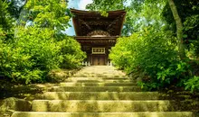 Japan Visitor - jojakkoj-temple-20191.jpg