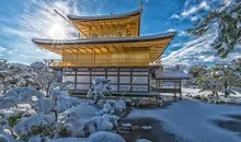 Japan Visitor - kinkakuji20192.jpg