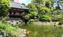 Japan Visitor - kokuracastle20182.jpg