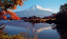 Japan Visitor - mt_fuji_teax.jpg