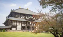 Japan Visitor - nara-todaiji2018.jpg