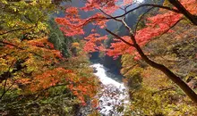 Japan Visitor - okutama-michi-1.jpg