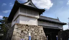 Japan Visitor - saga-castle-1.jpg